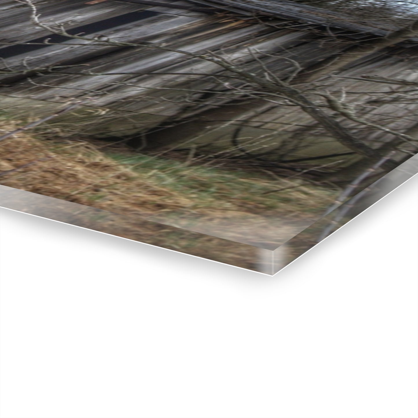 U R There Photography Rural Decay in Early Spring Rustic Farmhouse Acrylic Wall Print