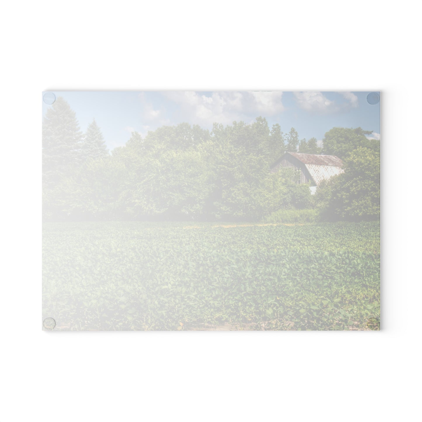 U R There Photography Canada Road Hidden Rustic Farmhouse Tempered-Glass Cutting Board
