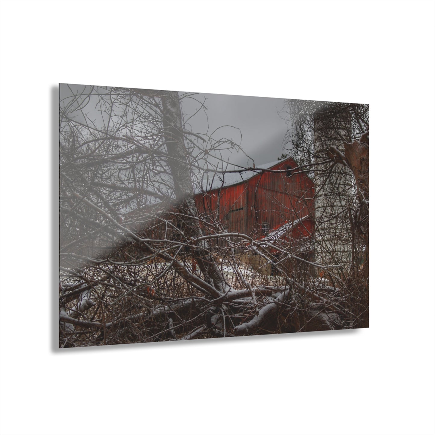 U R There Photography Sandhill Road Hidden Red II Rustic Farmhouse Acrylic Wall Print