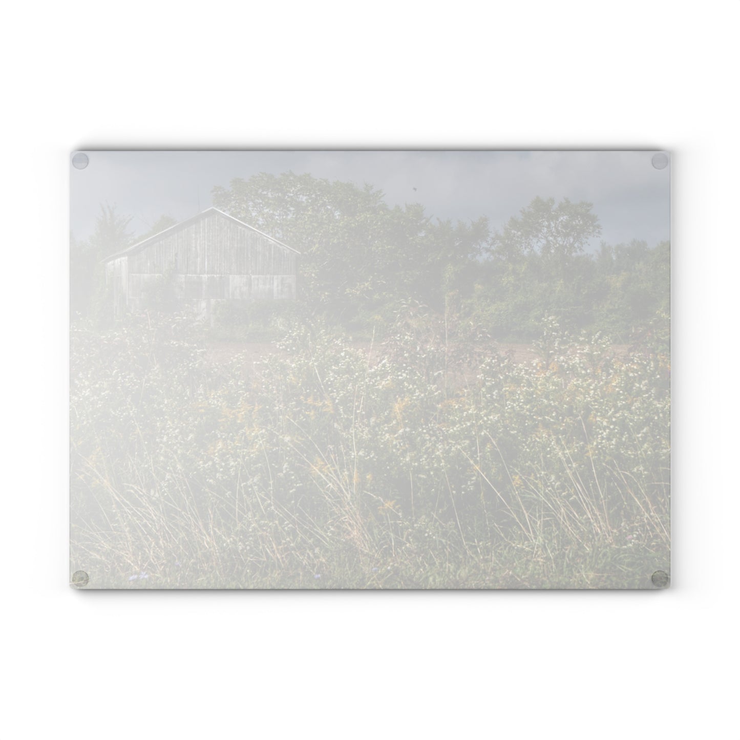 U R There Photography Almont Road Grey Rustic Farmhouse Tempered-Glass Cutting Board