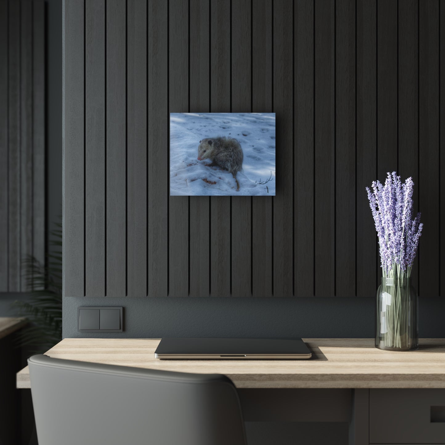 U R There Photography Sutton Road Possum Rustic Farmhouse Acrylic Wall Print