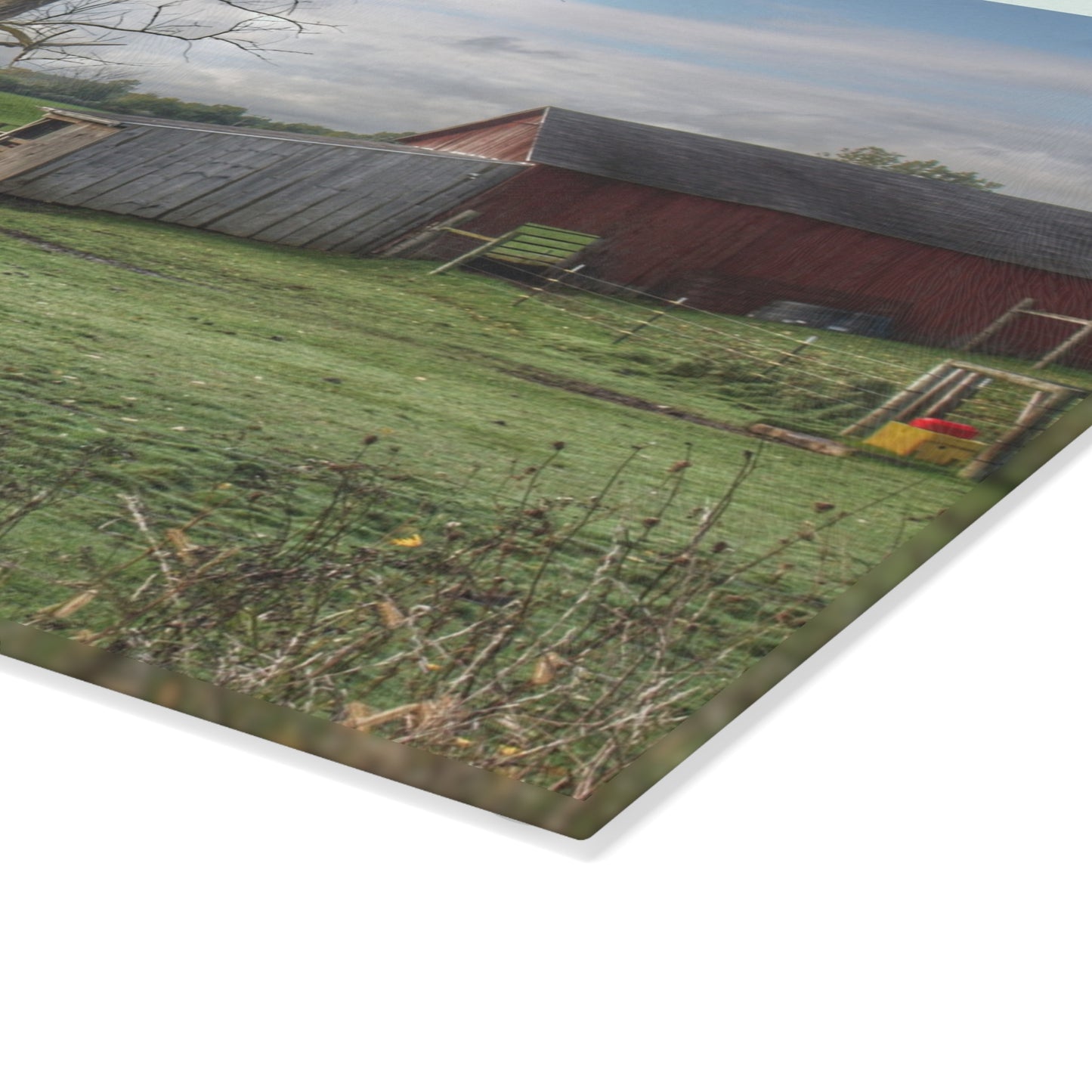 U R There Photography West Oregon Road Hidden Red III Rustic Farmhouse Tempered-Glass Cutting Board