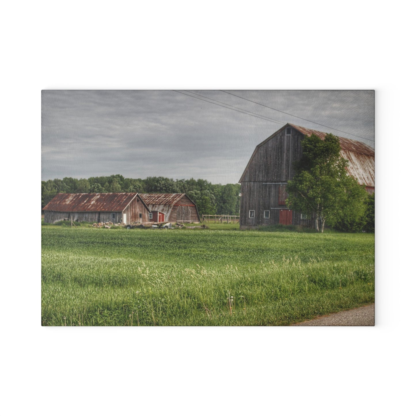 U R There Photography Barkley Road Trio Rustic Farmhouse Tempered-Glass Cutting Board