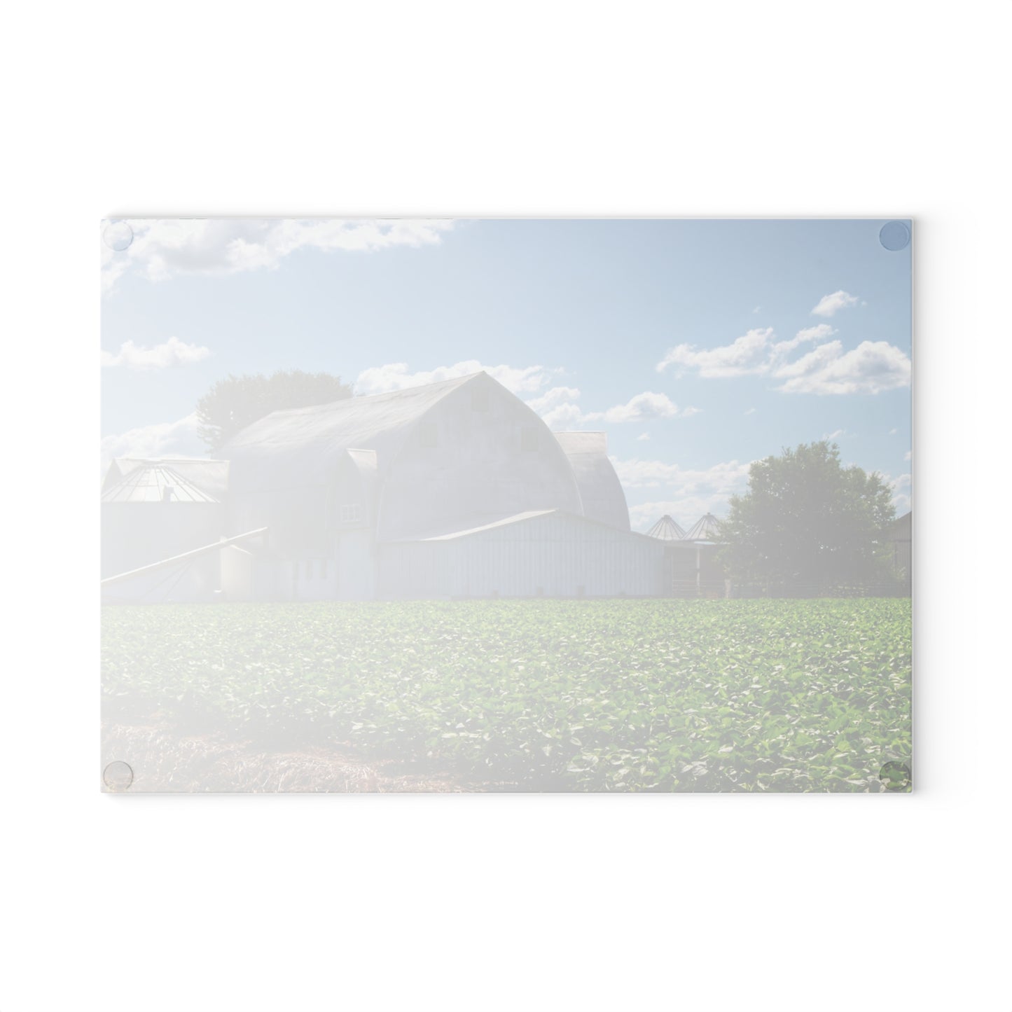 U R There Photography Canada Road White Rustic Farmhouse Tempered-Glass Cutting Board