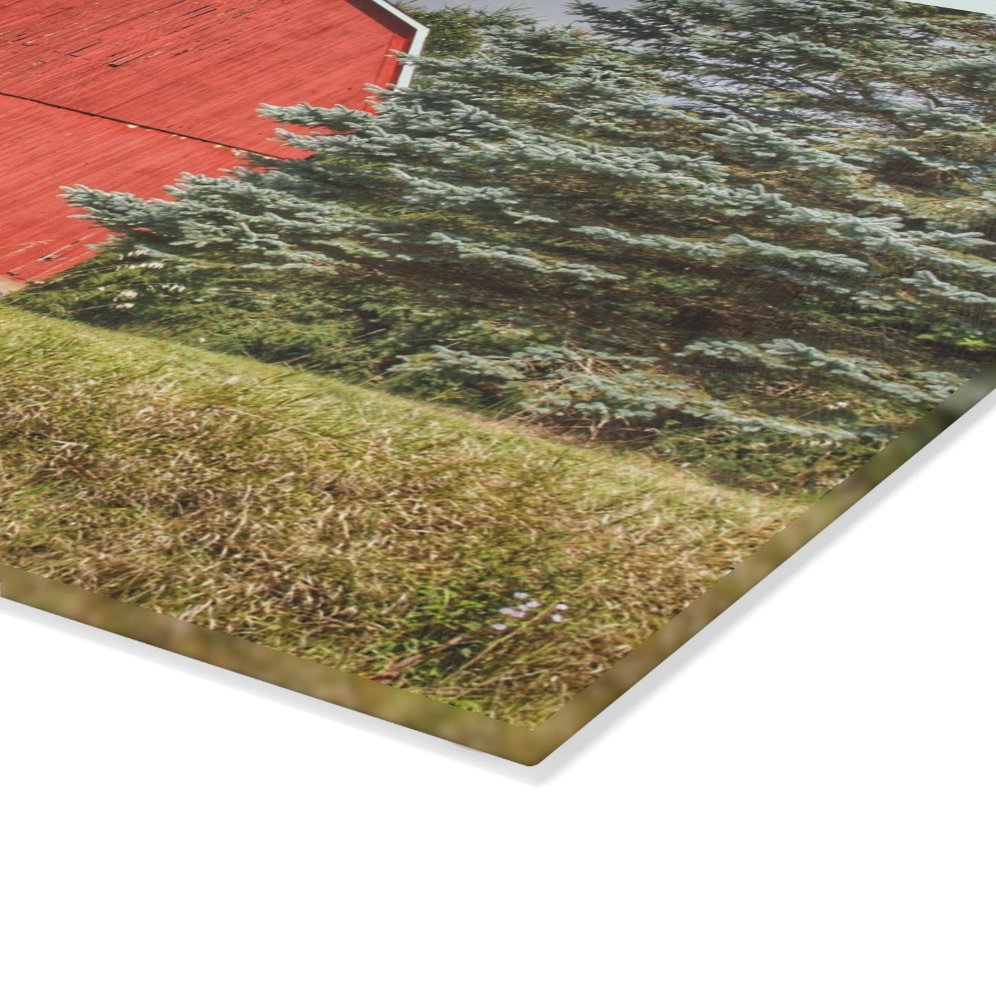 U R There Photography Oxford Baldwin Red Rustic Farmhouse Tempered-Glass Cutting Board