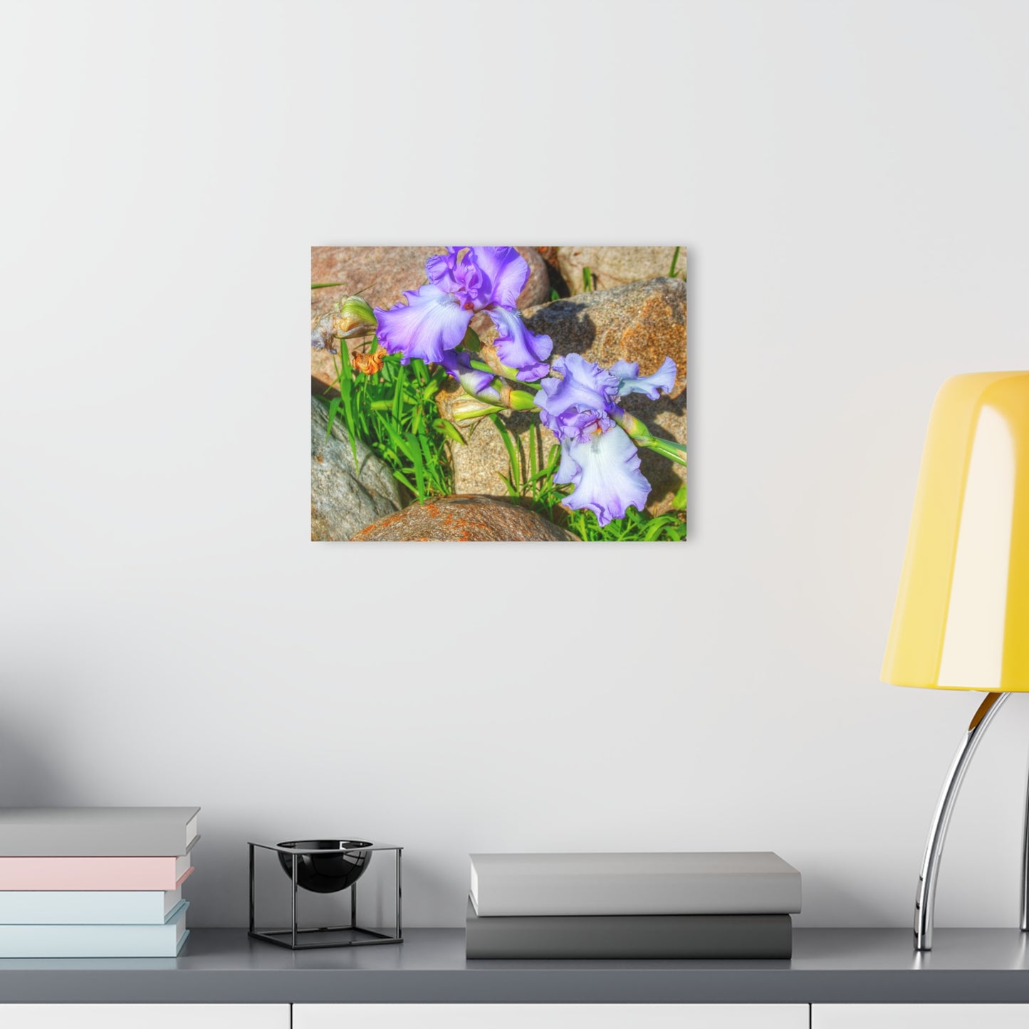 U R There Photography Saint Hugos Iris Rustic Farmhouse Acrylic Wall Print