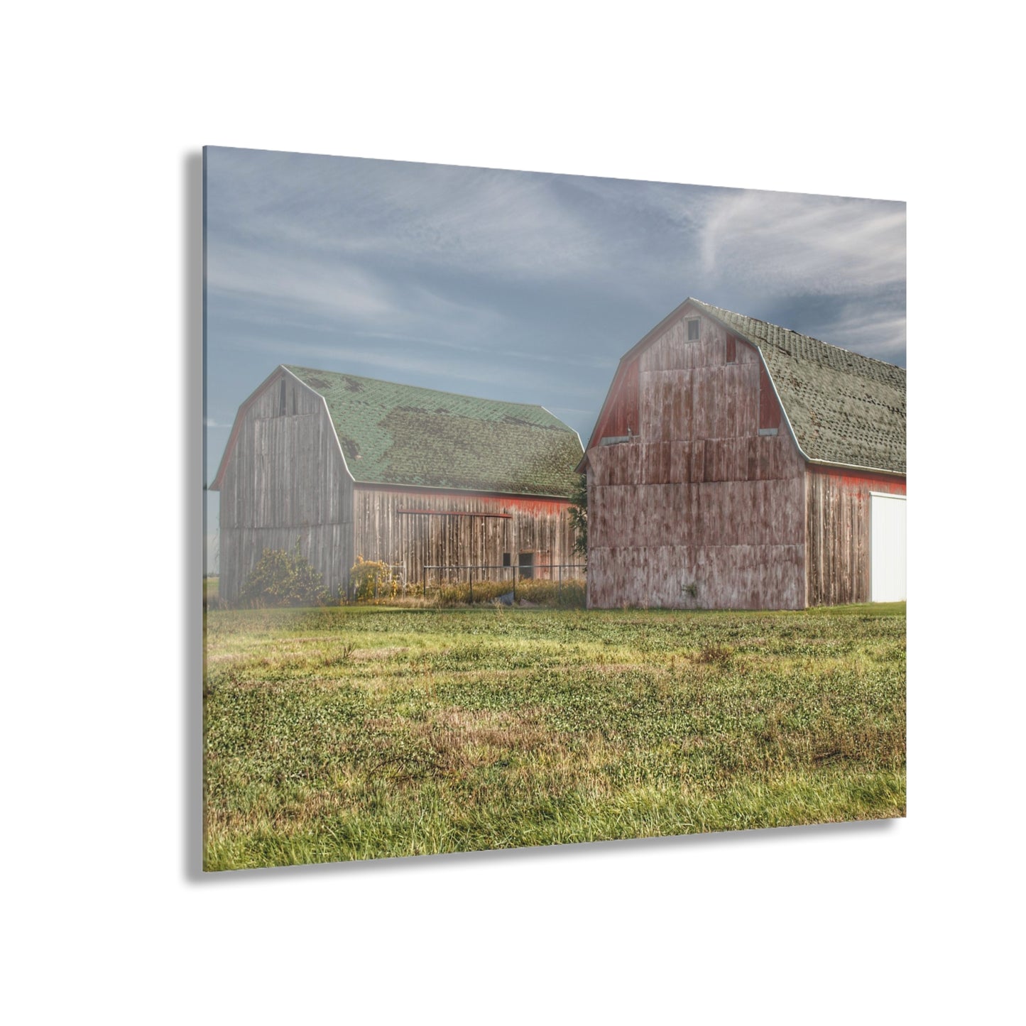 U R There Photography Vassar Twin Reds Rustic Farmhouse Acrylic Wall Print