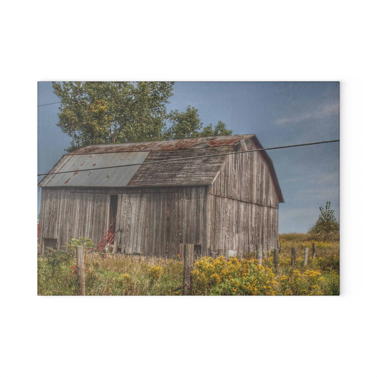 U R There Photography Schott Road Grey I Rustic Farmhouse Tempered-Glass Cutting Board