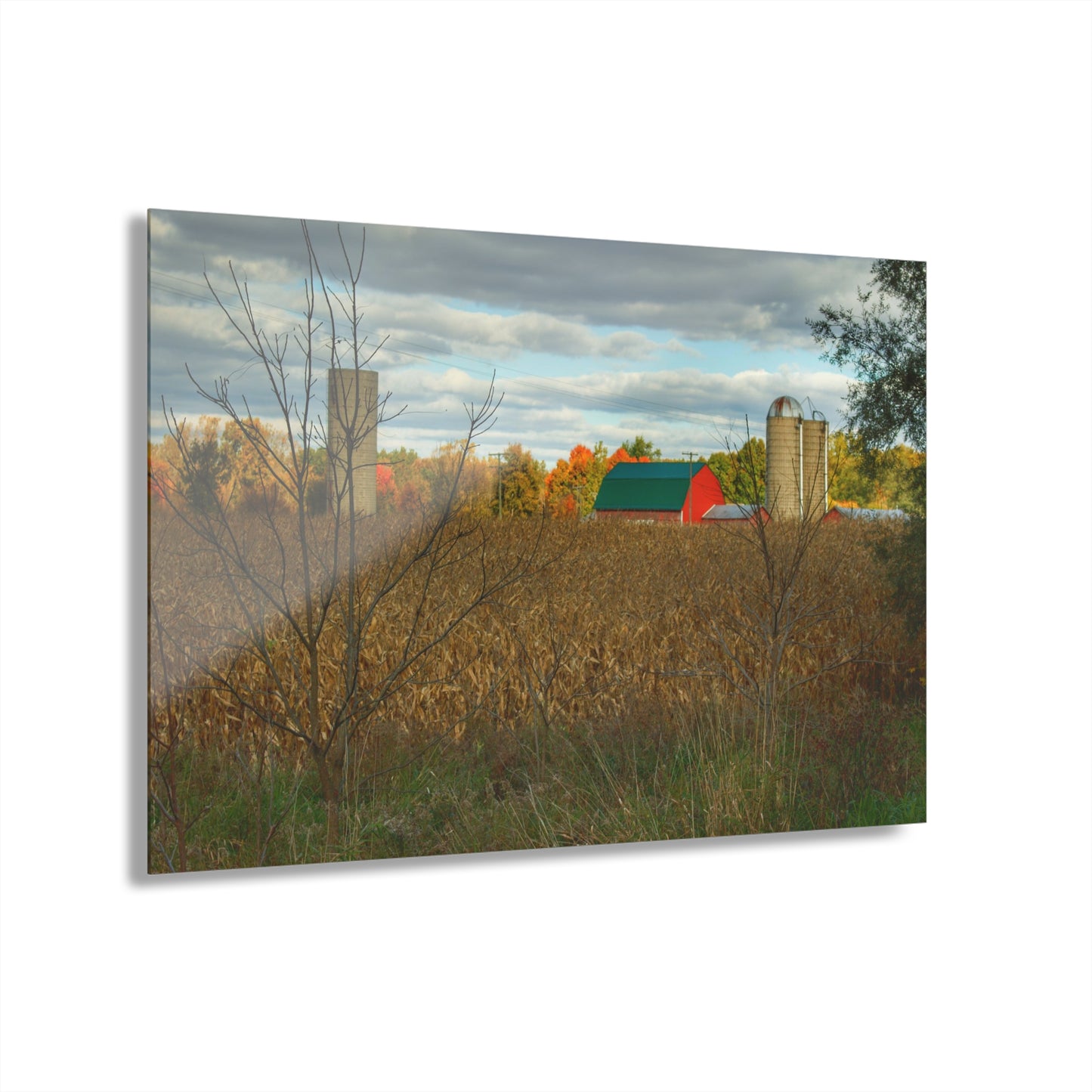 U R There Photography Beyond the Harvest Corn II Rustic Farmhouse Acrylic Wall Print