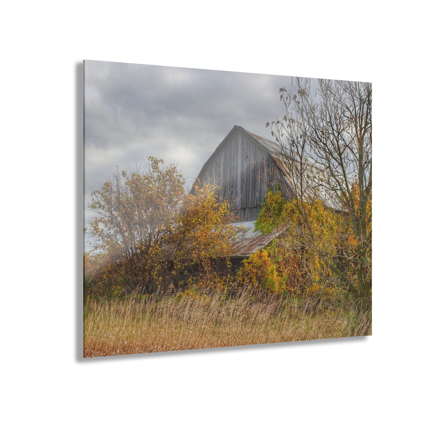 U R There Photography Church Road Grey IV Rustic Farmhouse Acrylic Wall Print