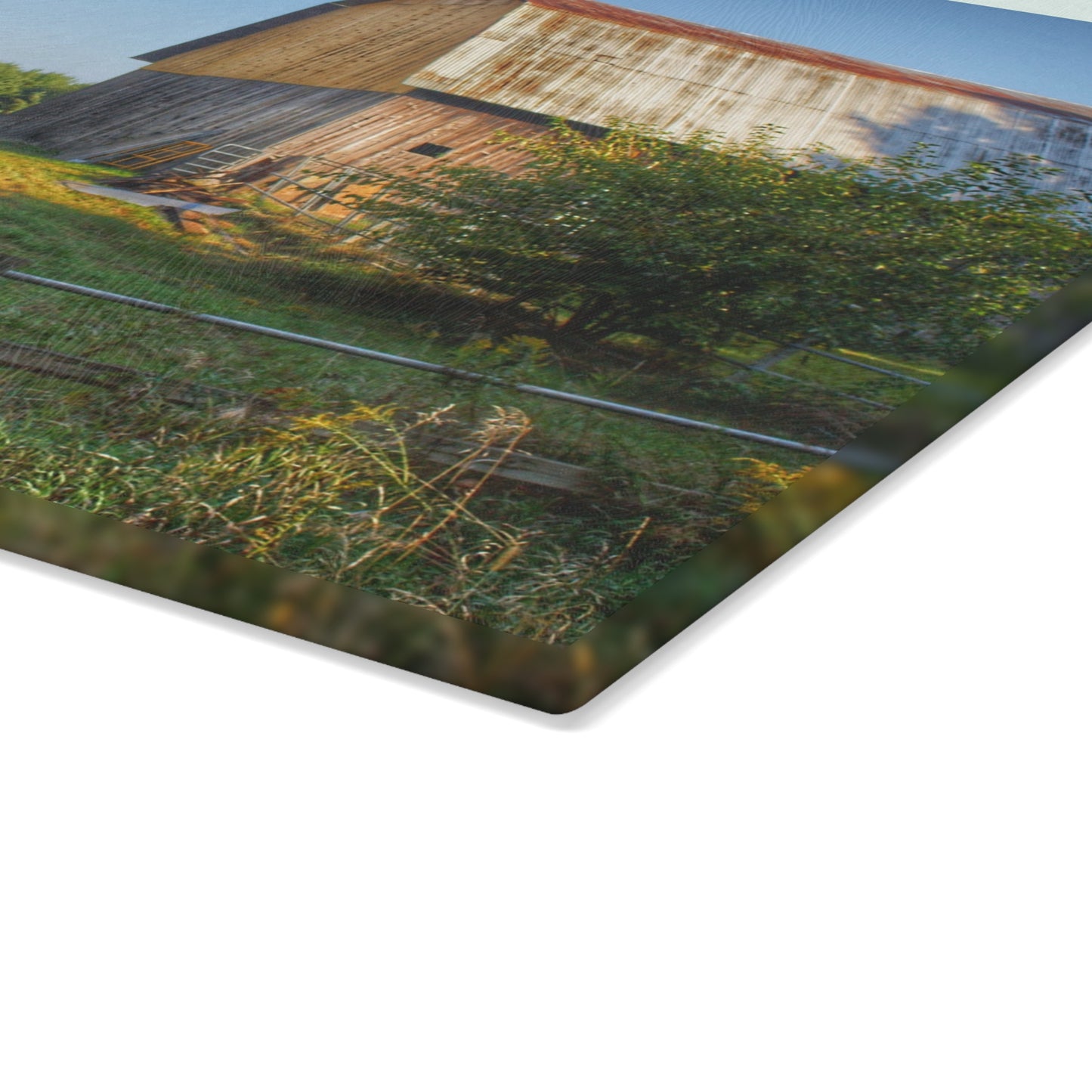 U R There Photography Snover Golden Grey Rustic Farmhouse Tempered-Glass Cutting Board