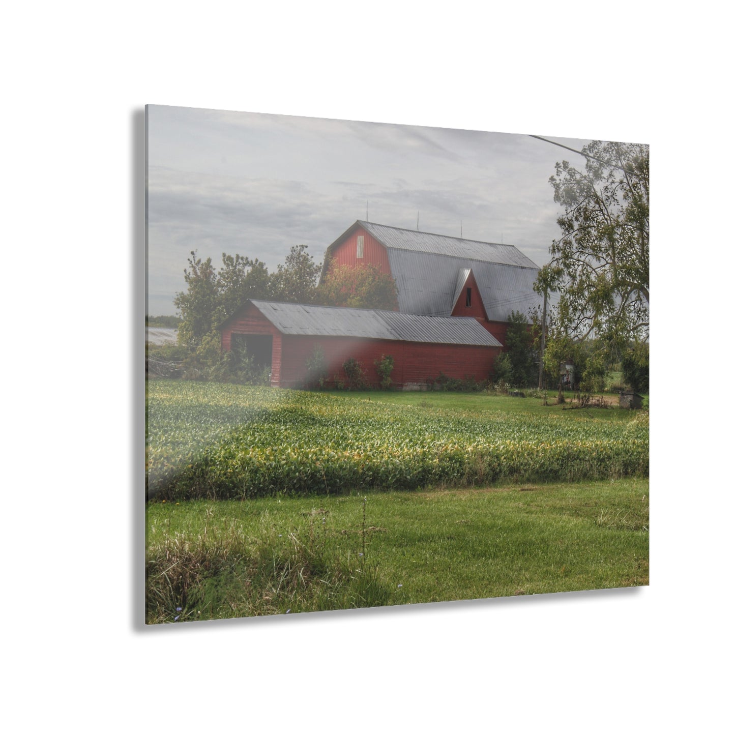U R There Photography West Dodge Road Reds Rustic Farmhouse Acrylic Wall Print