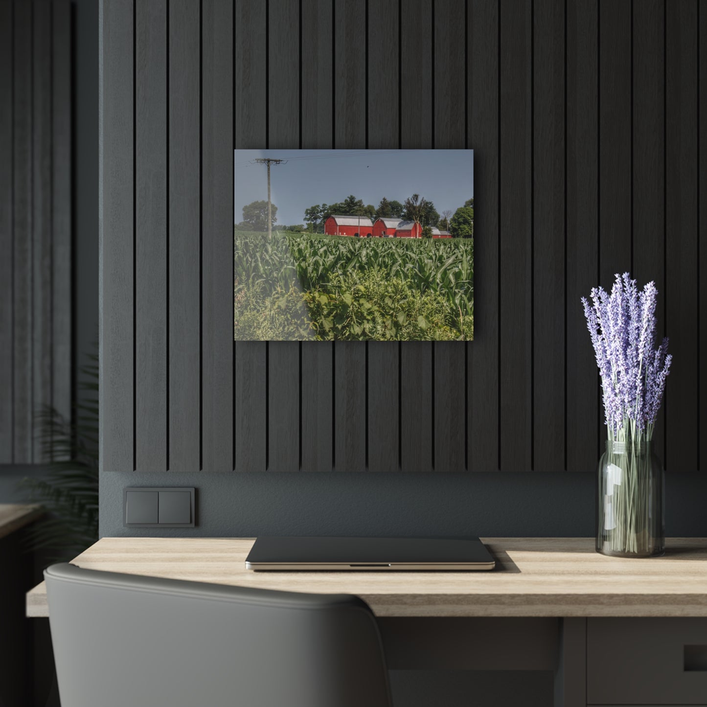 U R There Photography Shoemaker Road Reds Beyond the Corn Rustic Farmhouse Acrylic Wall Print