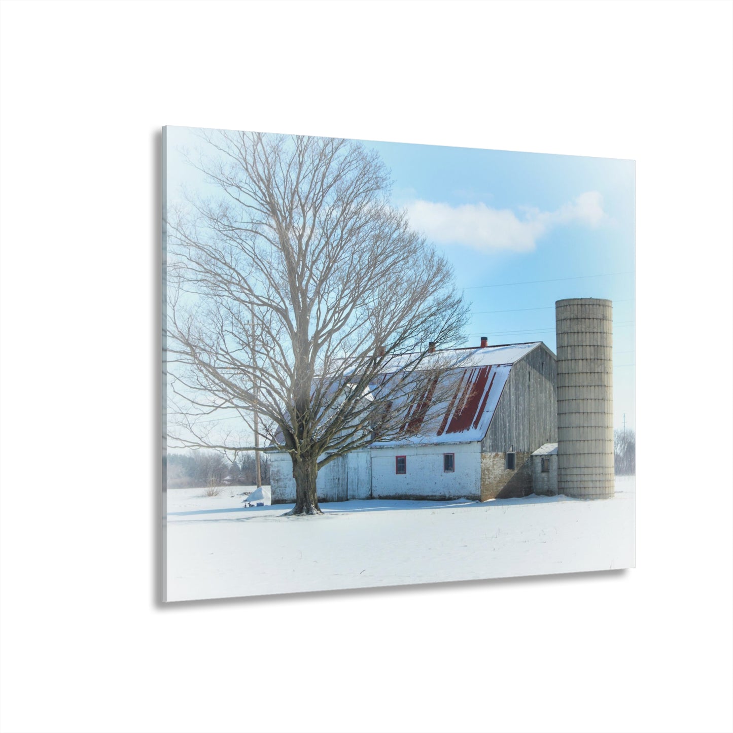 U R There Photography Barnes Road White Rustic Farmhouse Acrylic Wall Print