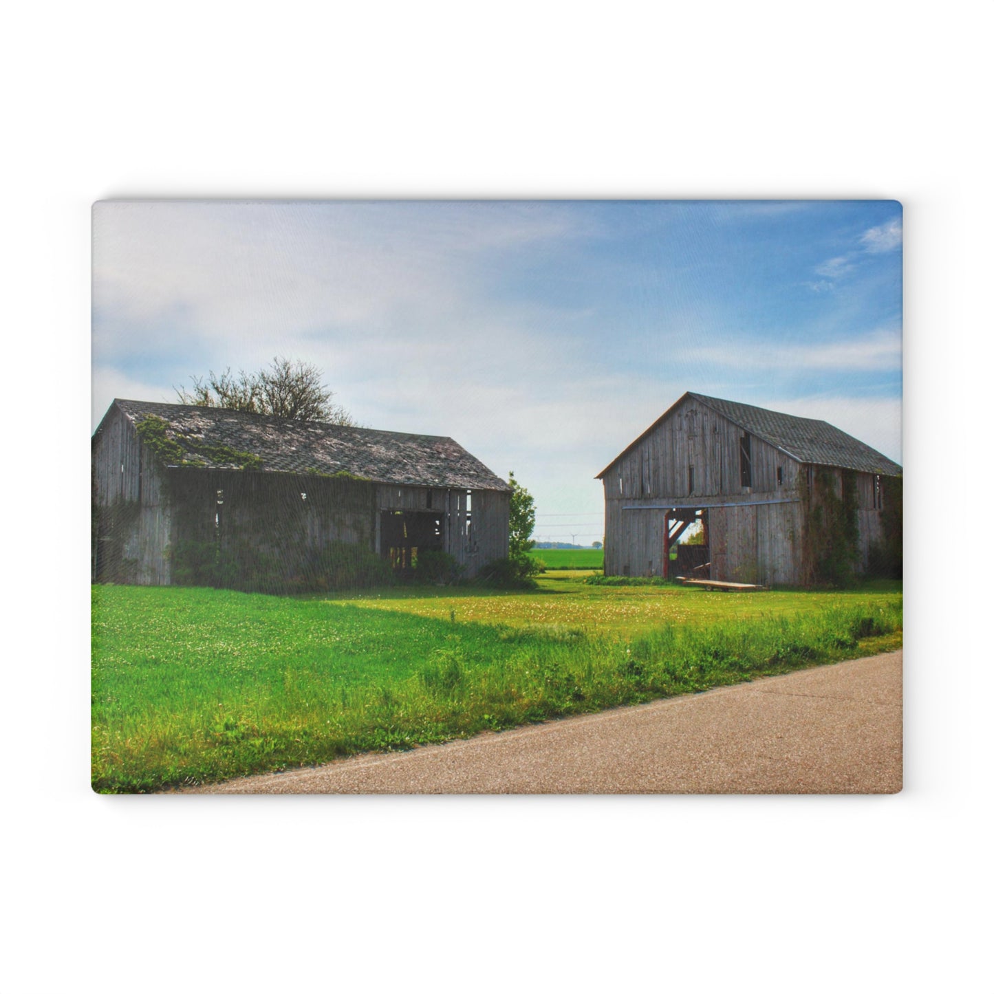 U R There Photography Caro Road Twin Greys I Rustic Farmhouse Tempered-Glass Cutting Board