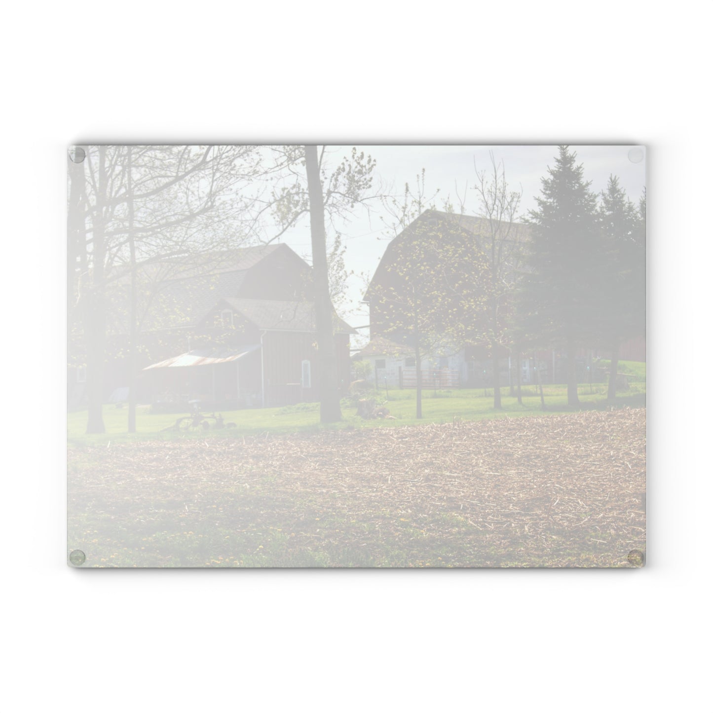 U R There Photography Bishop Road Reds III Rustic Farmhouse Tempered-Glass Cutting Board