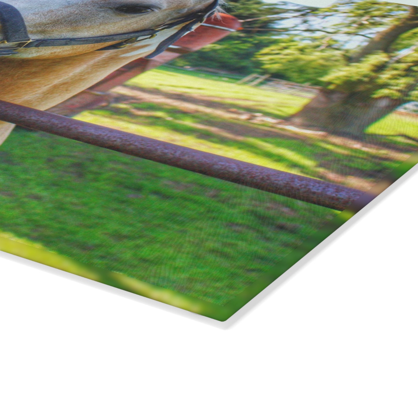 U R There Photography White Cream Mare of Hollenbeck Rustic Farmhouse Tempered-Glass Cutting Board