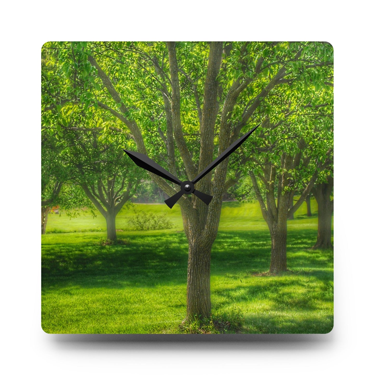 U R There Photography Spring Trees in Chartreuse Rustic Farmhouse Acrylic Analog Wall Clock