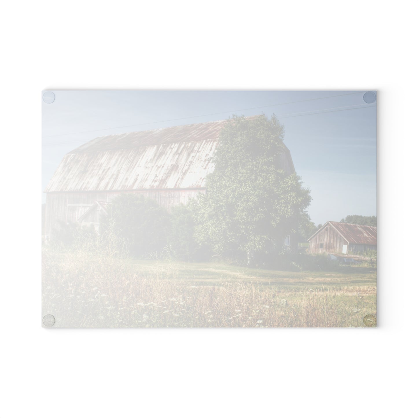 U R There Photography Barkley Road Red in Summer II Rustic Farmhouse Tempered-Glass Cutting Board