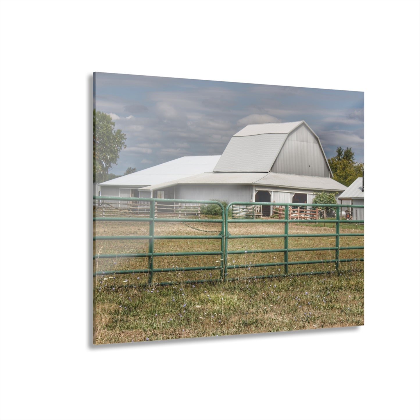 U R There Photography Petz Road Grey Rustic Farmhouse Acrylic Wall Print