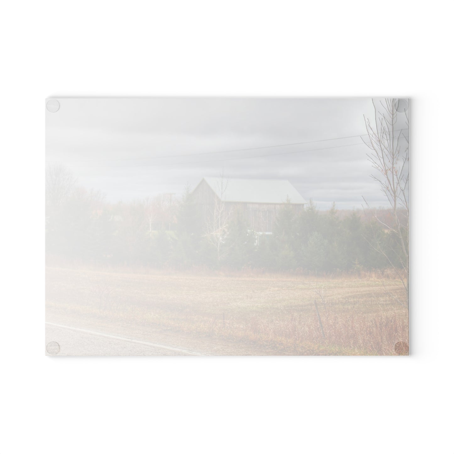 U R There Photography Burnside Grey Rustic Farmhouse Tempered-Glass Cutting Board
