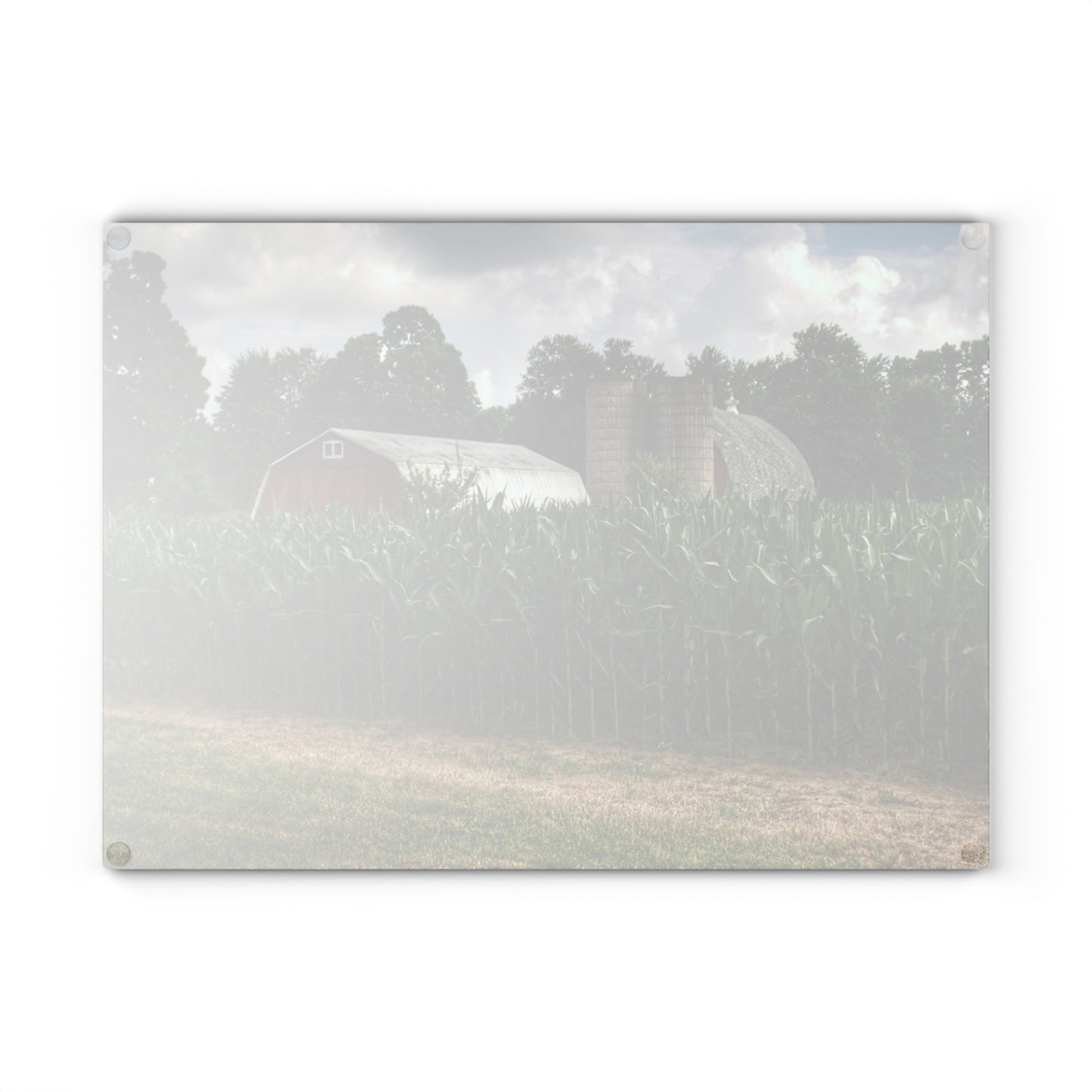 U R There Photography Scotch Settlement Reds Rustic Farmhouse Tempered-Glass Cutting Board