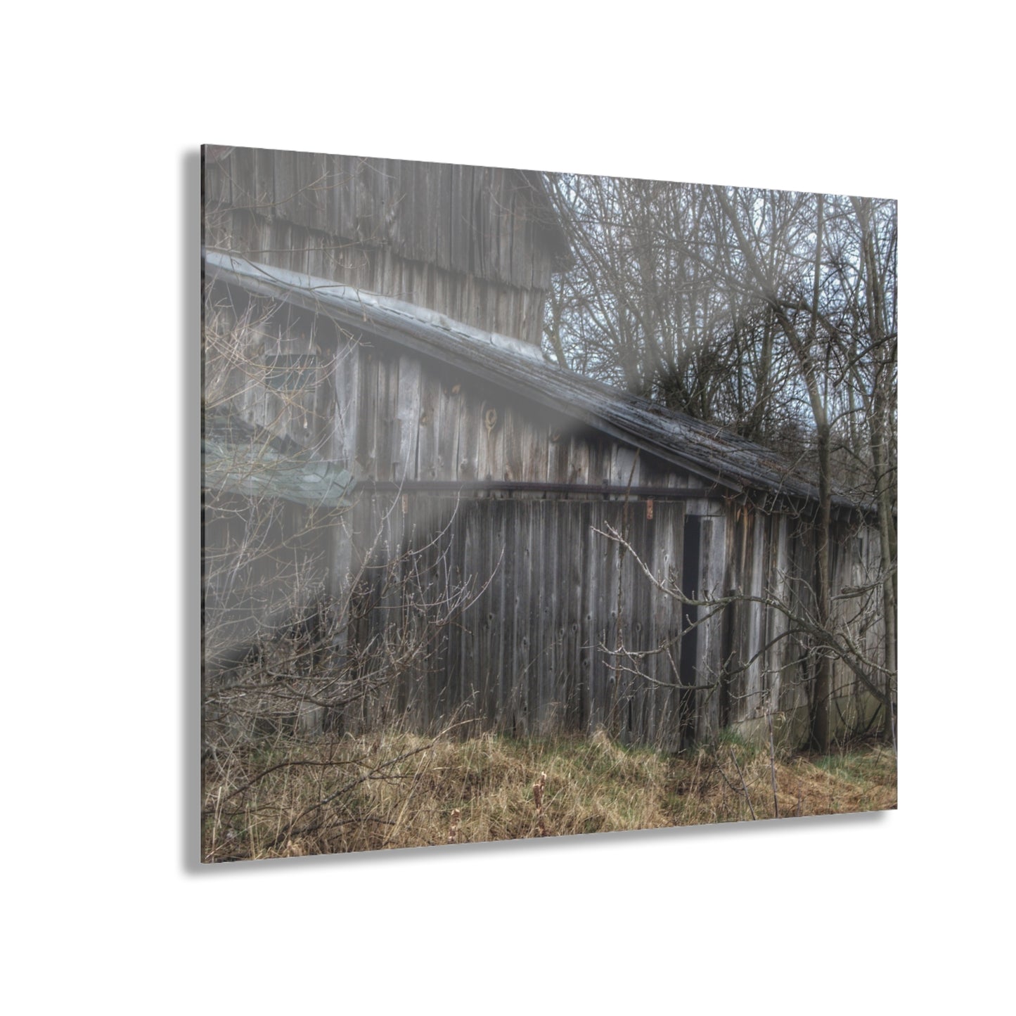 U R There Photography Rural Decay in Early Spring Rustic Farmhouse Acrylic Wall Print