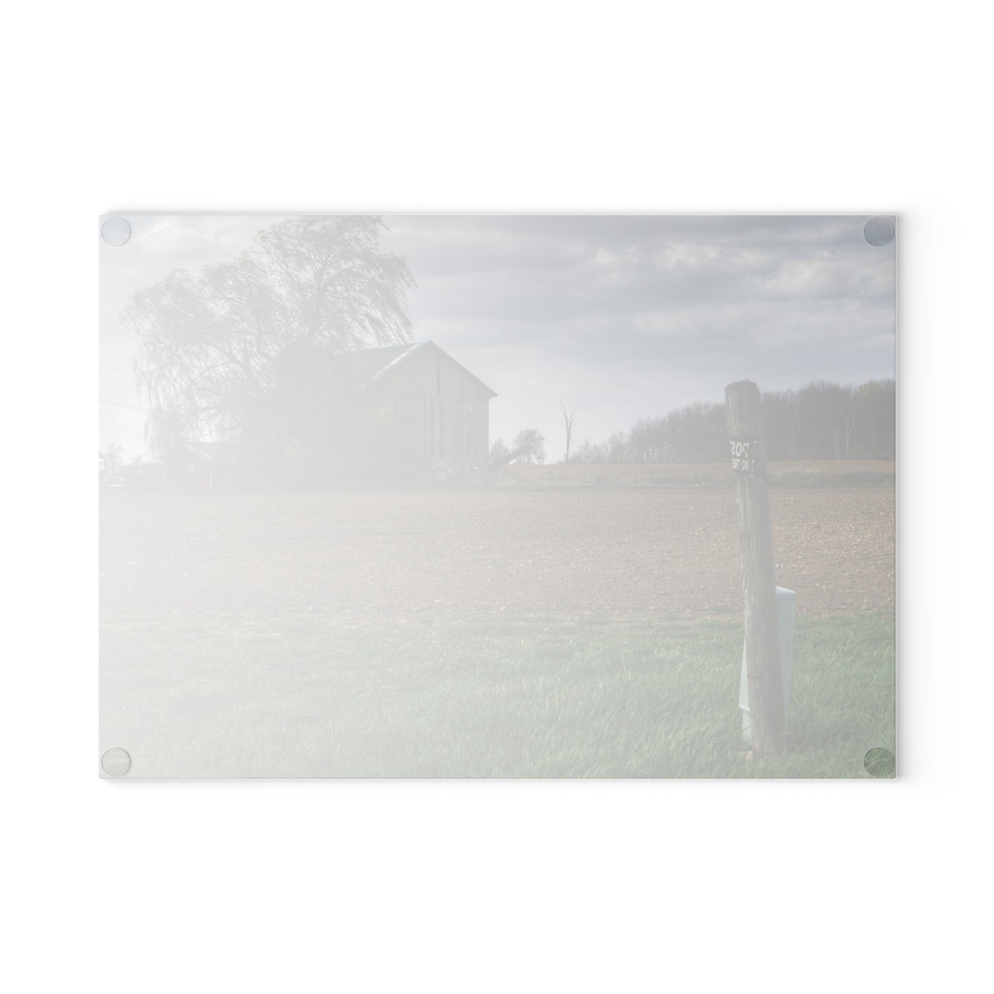 U R There Photography Cedar Creek Road Grey Rustic Farmhouse Tempered-Glass Cutting Board