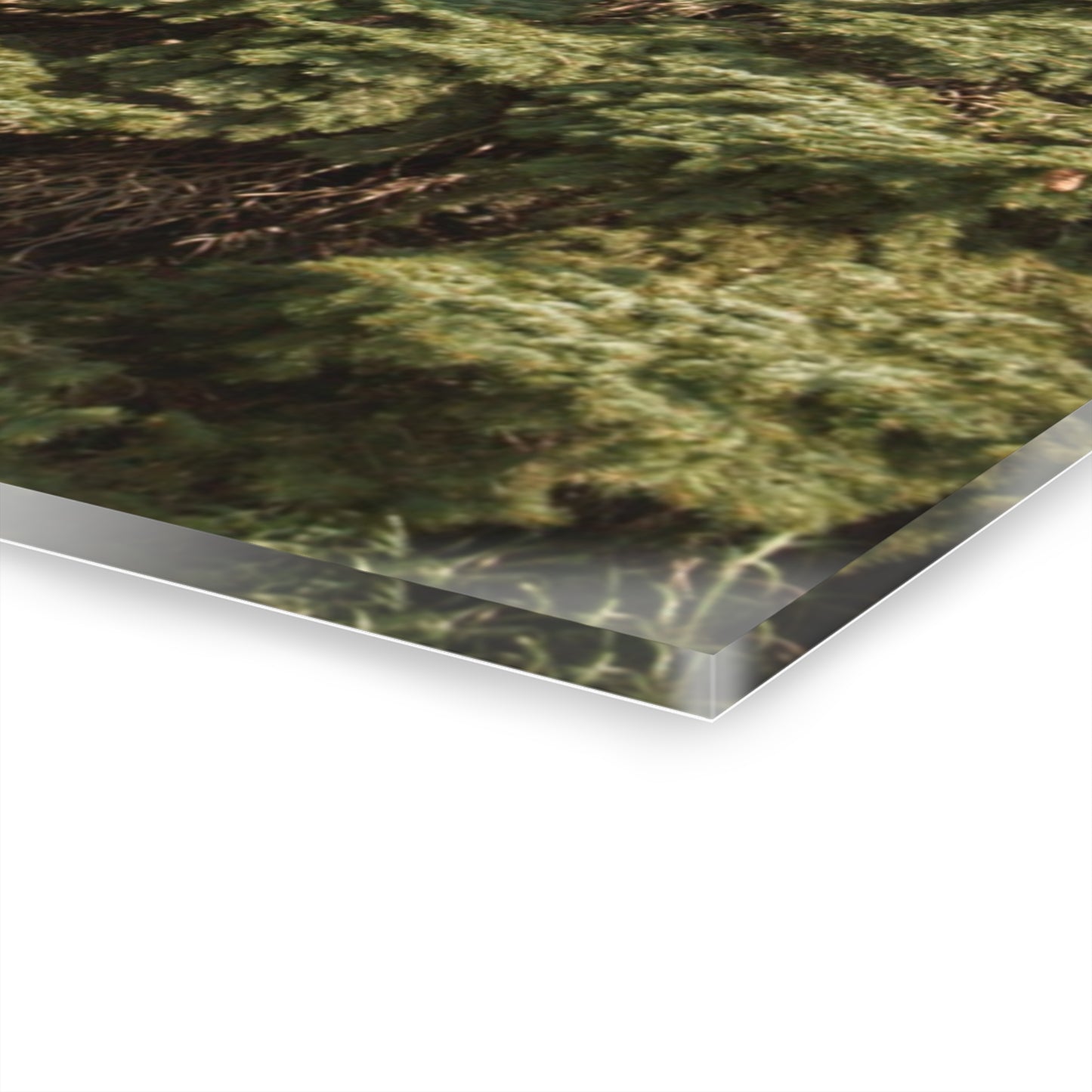 U R There Photography Roadside Grey of Vassar Rustic Farmhouse Acrylic Wall Print