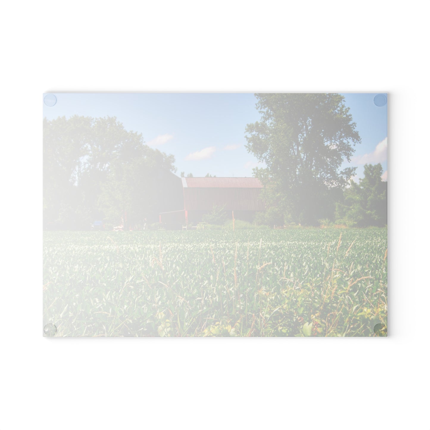 U R There Photography Canada Road Hidden Red Rustic Farmhouse Tempered-Glass Cutting Board