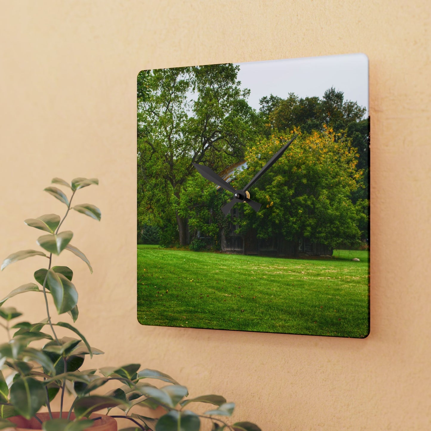 U R There Photography Hidden Past Rustic Farmhouse Acrylic Analog Wall Clock
