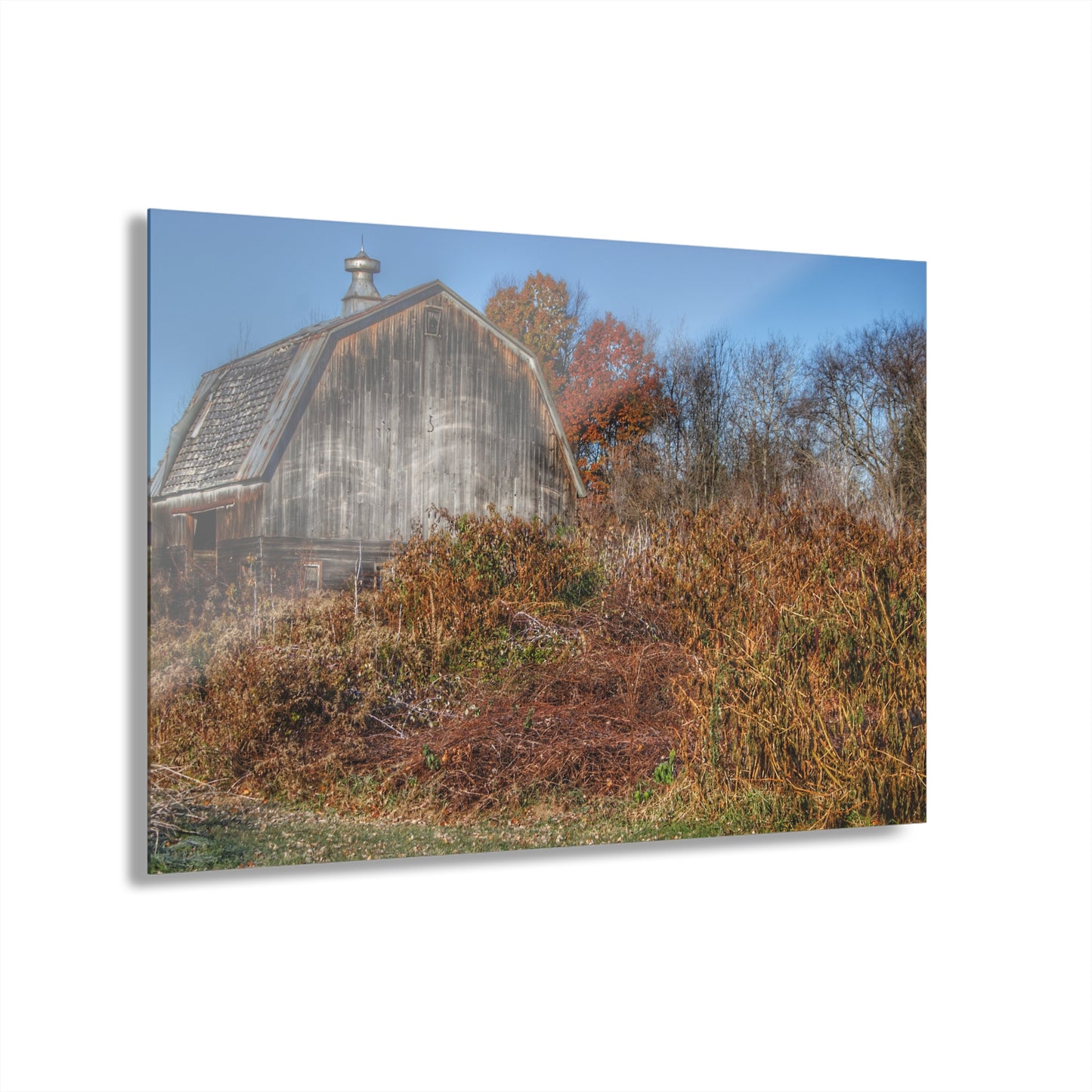 U R There Photography Vassar Road Hidden Grey II Rustic Farmhouse Acrylic Wall Print