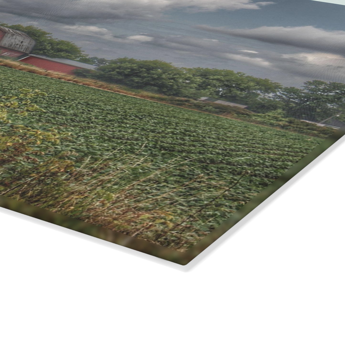 U R There Photography Church Road Red Rustic Farmhouse Tempered-Glass Cutting Board