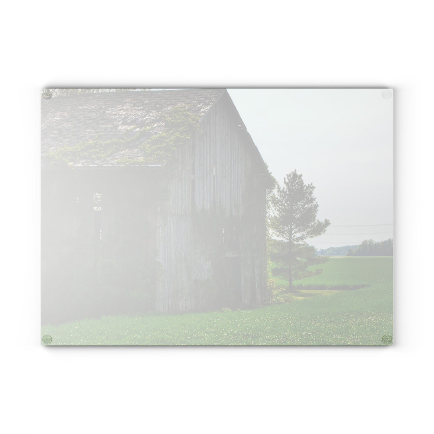 U R There Photography Caro Road Twin Grey I Rustic Farmhouse Tempered-Glass Cutting Board