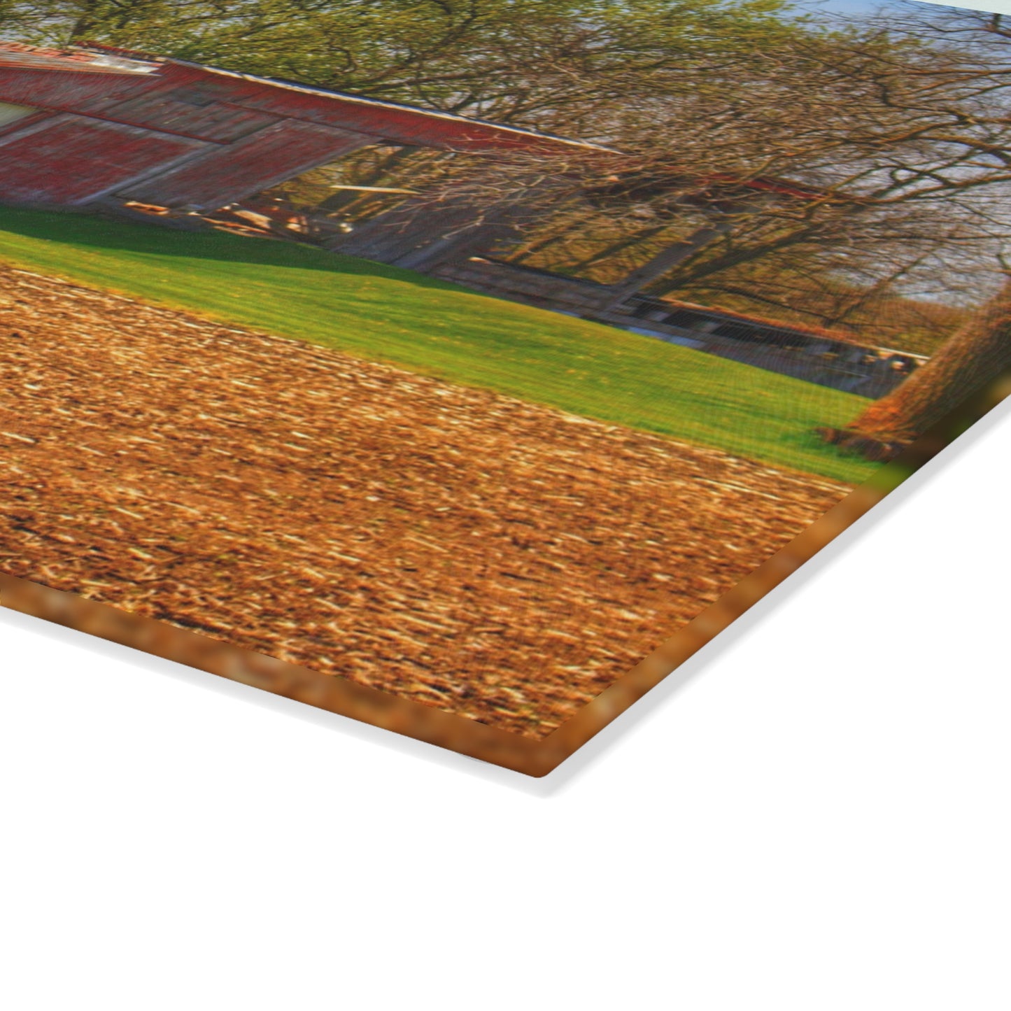 U R There Photography Sohn Roadside Relic Rustic Farmhouse Tempered-Glass Cutting Board