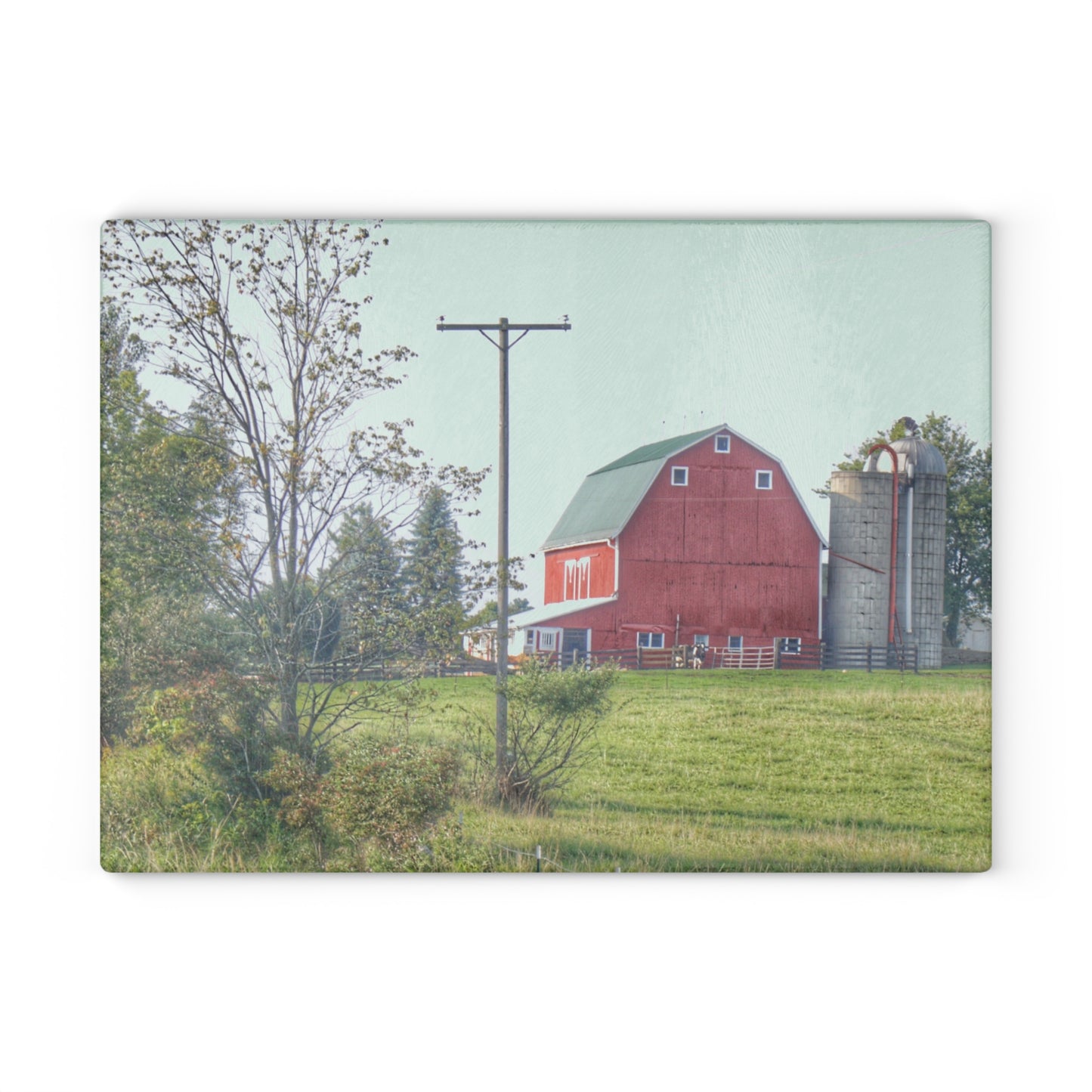 U R There Photography Stewart Road Red I Rustic Farmhouse Tempered-Glass Cutting Board