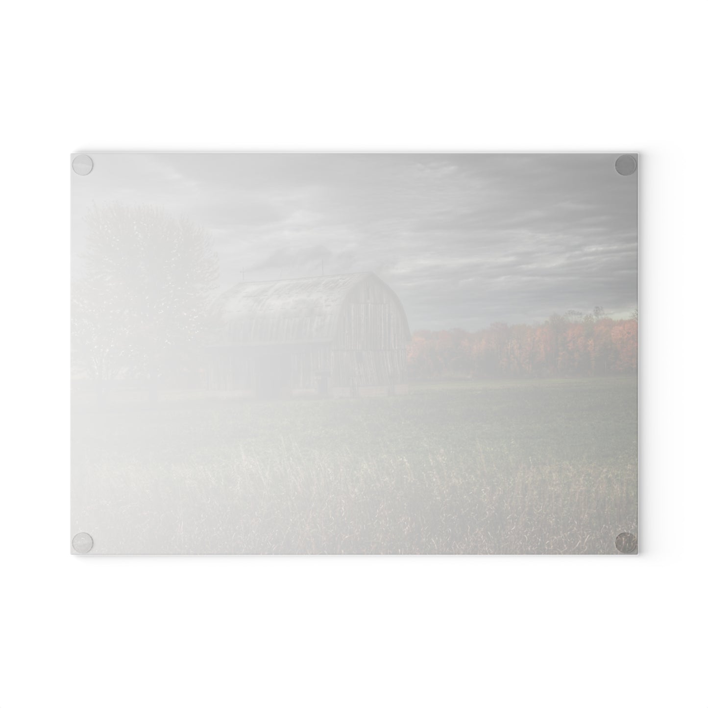 U R There Photography Bray Road Grey in the Fall Rustic Farmhouse Tempered-Glass Cutting Board