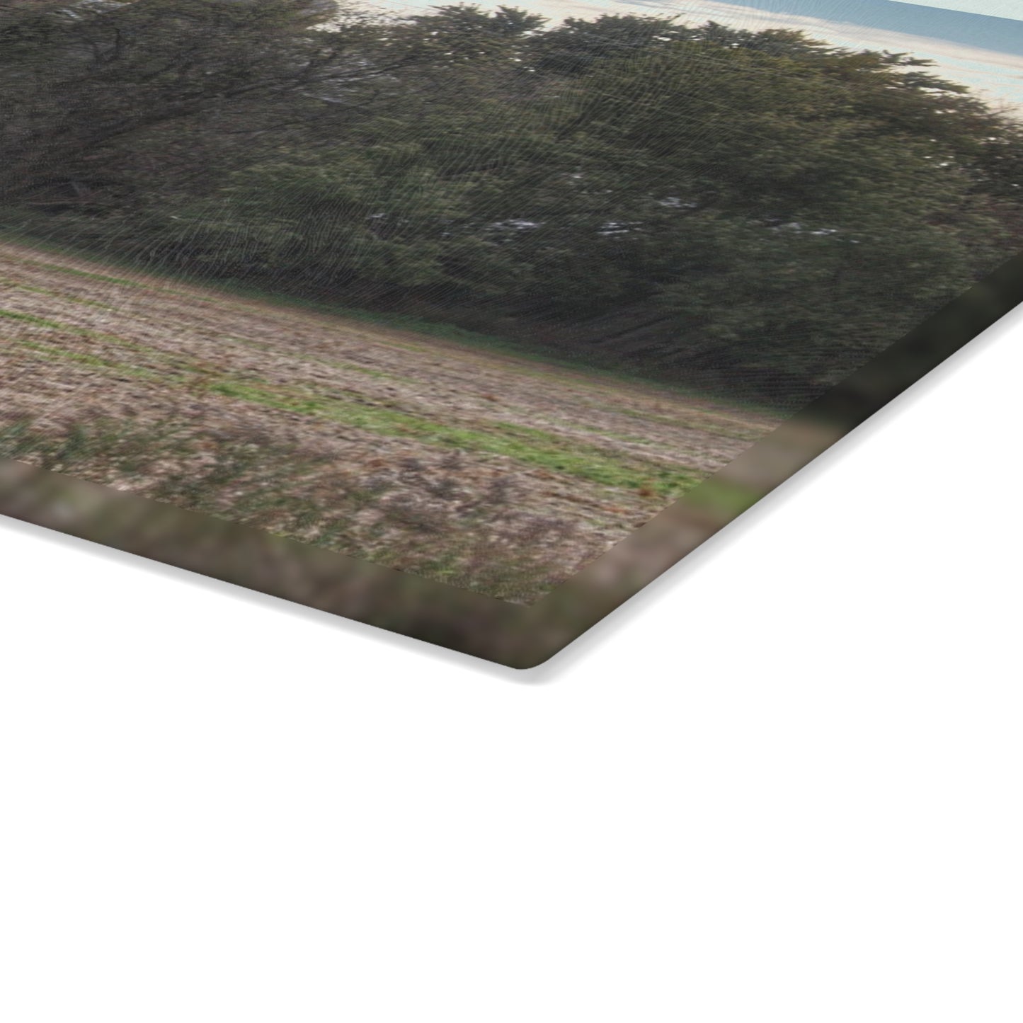 U R There Photography Burnside Road Grey I Rustic Farmhouse Tempered-Glass Cutting Board