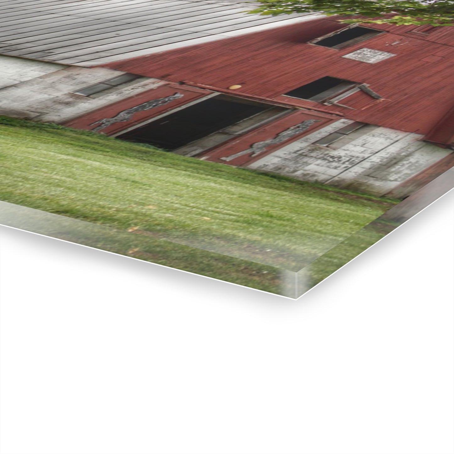 U R There Photography Peters Red Appaloosa III Rustic Farmhouse Acrylic Wall Print