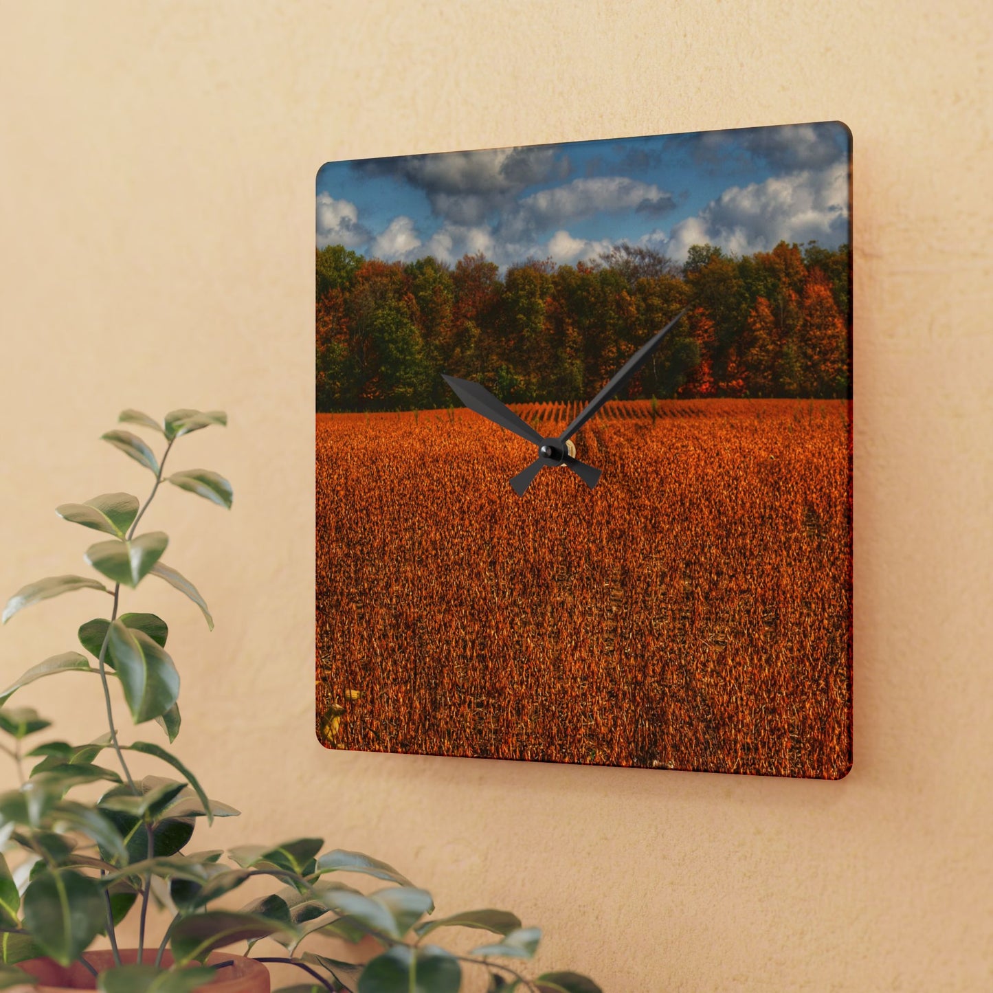 U R There Photography Fall on Murphy Lake I Rustic Farmhouse Acrylic Analog Wall Clock