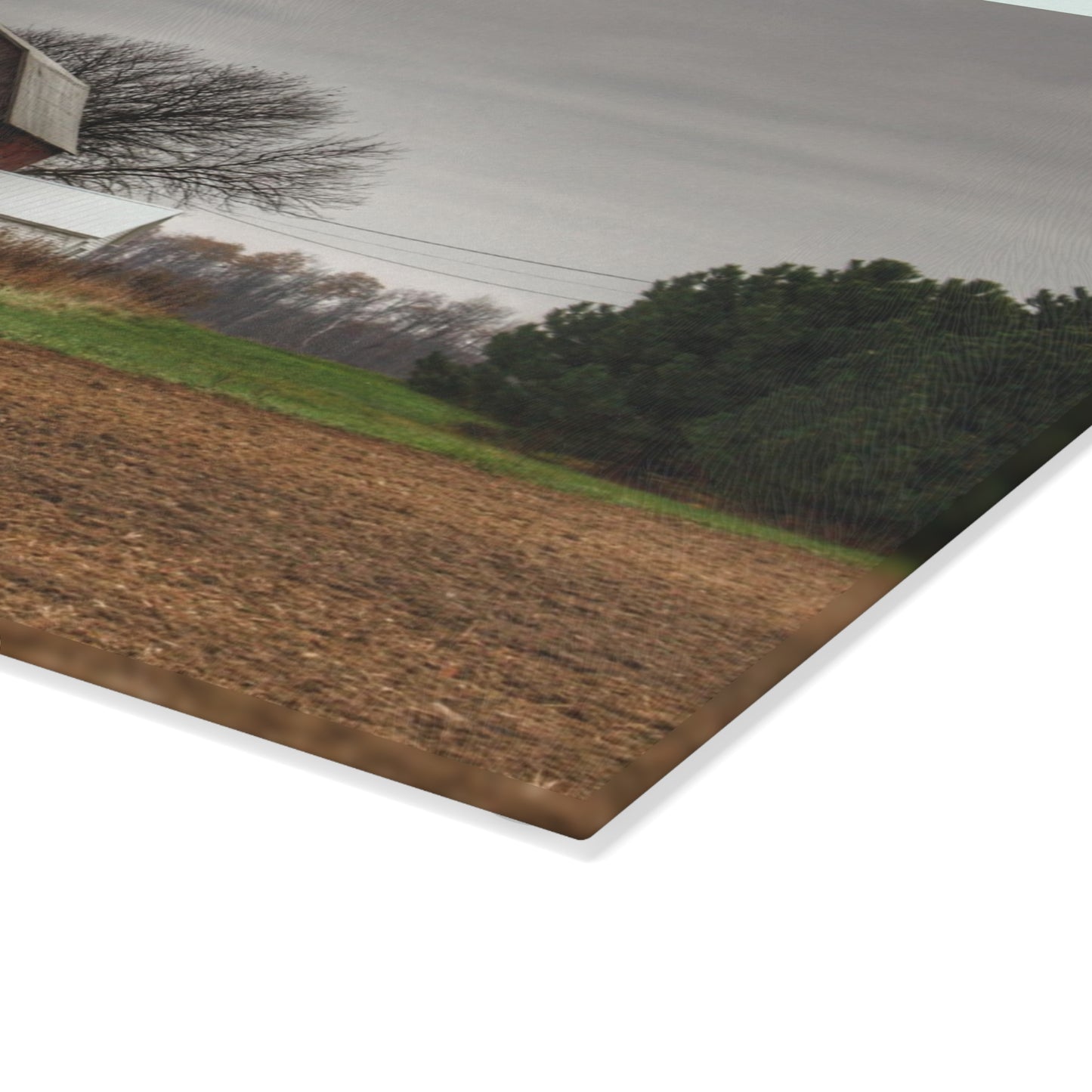 U R There Photography Reinelt Road Red Rustic Farmhouse Tempered-Glass Cutting Board 8"x 11"