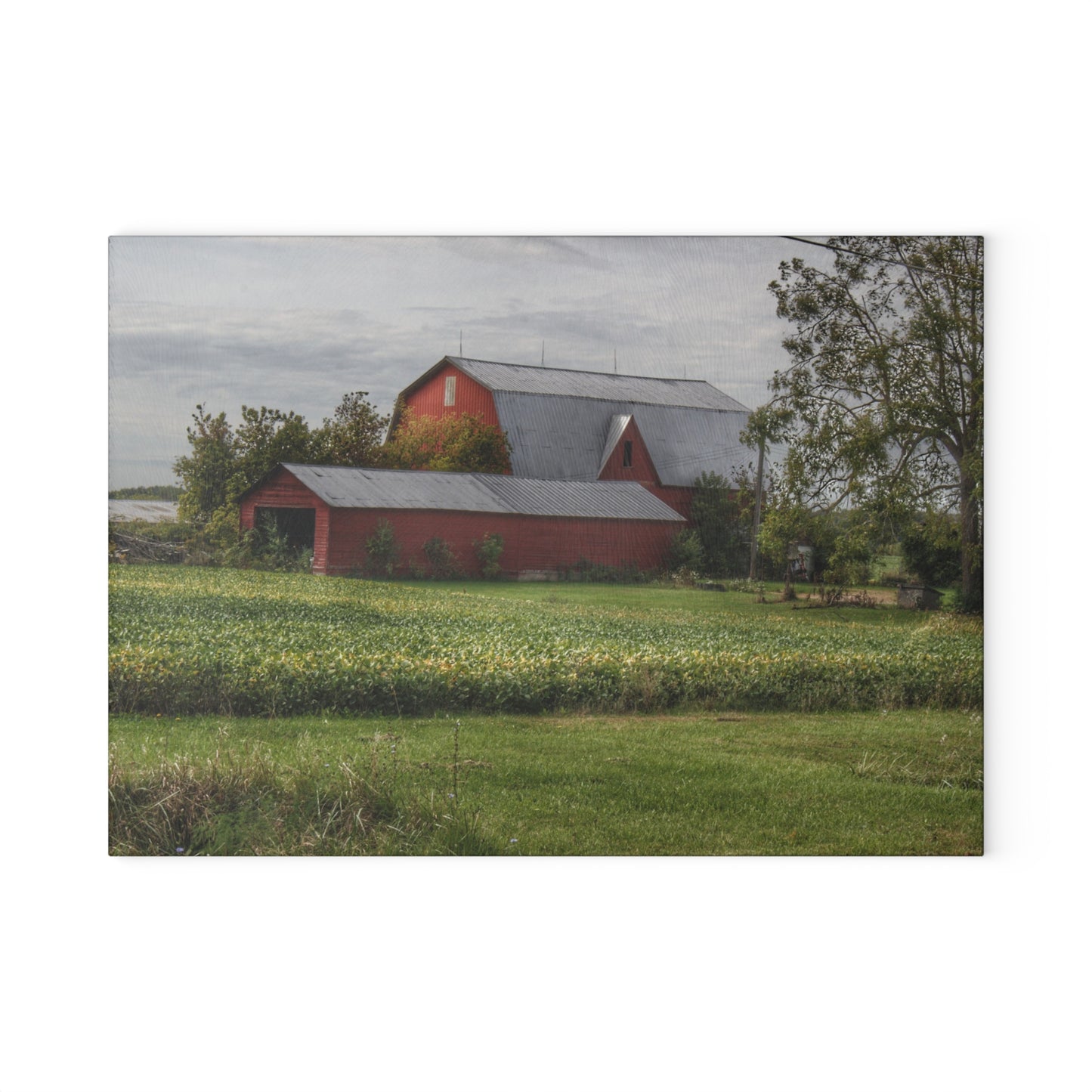 U R There Photography West Dodge Road Reds Rustic Farmhouse Tempered-Glass Cutting Board