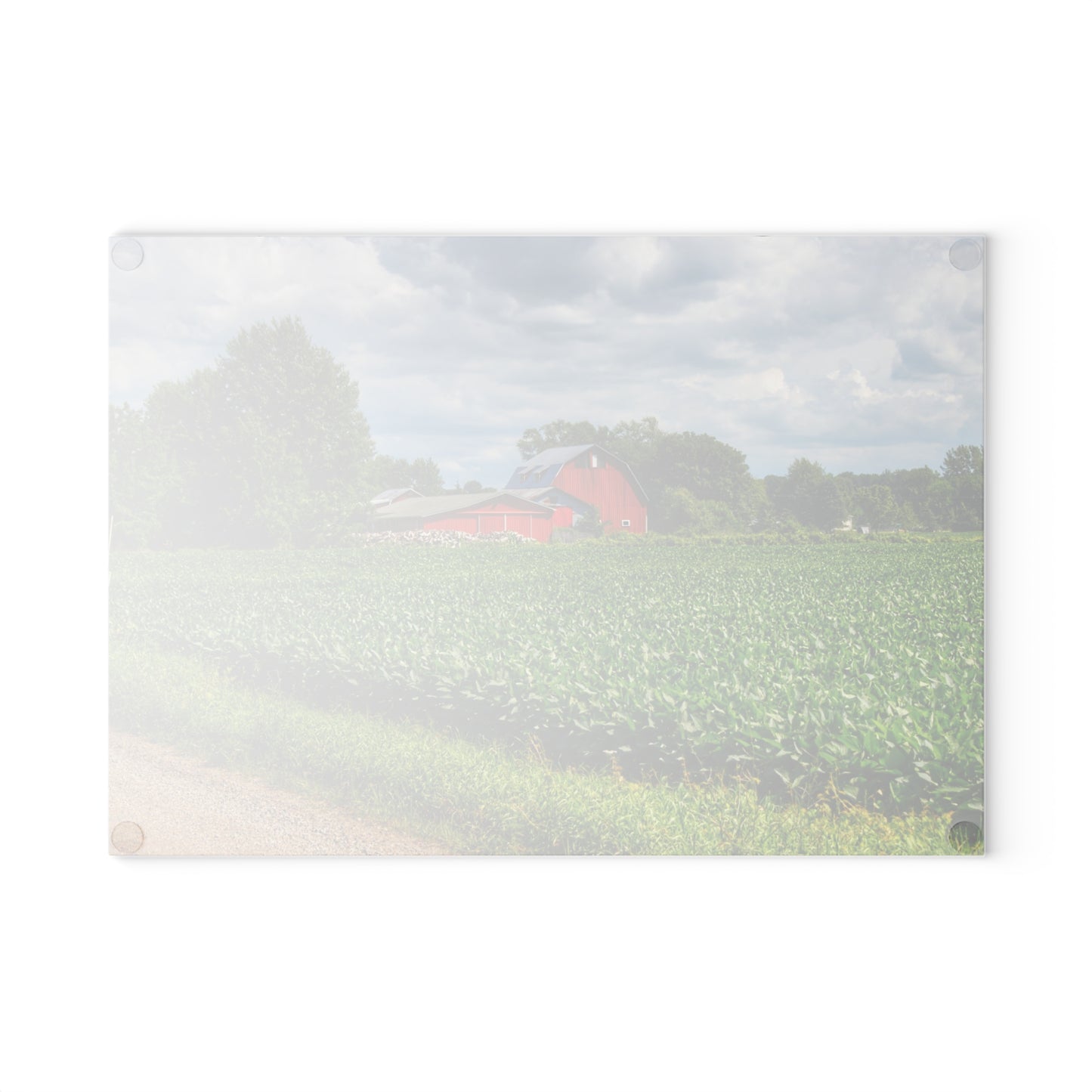 U R There Photography Block Road Reds Rustic Farmhouse Tempered-Glass Cutting Board