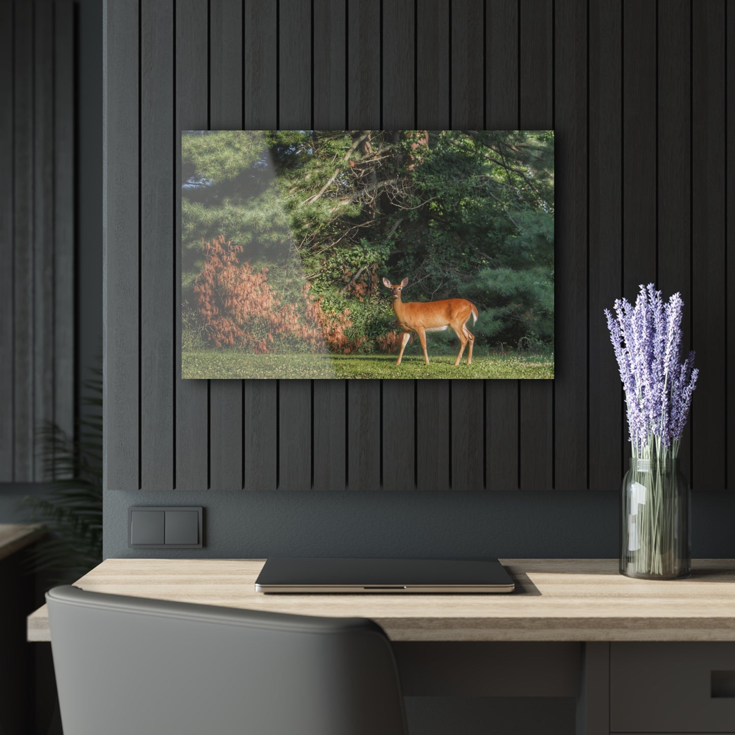 U R There Photography Mitchell Road Doe Rustic Farmhouse Acrylic Wall Print