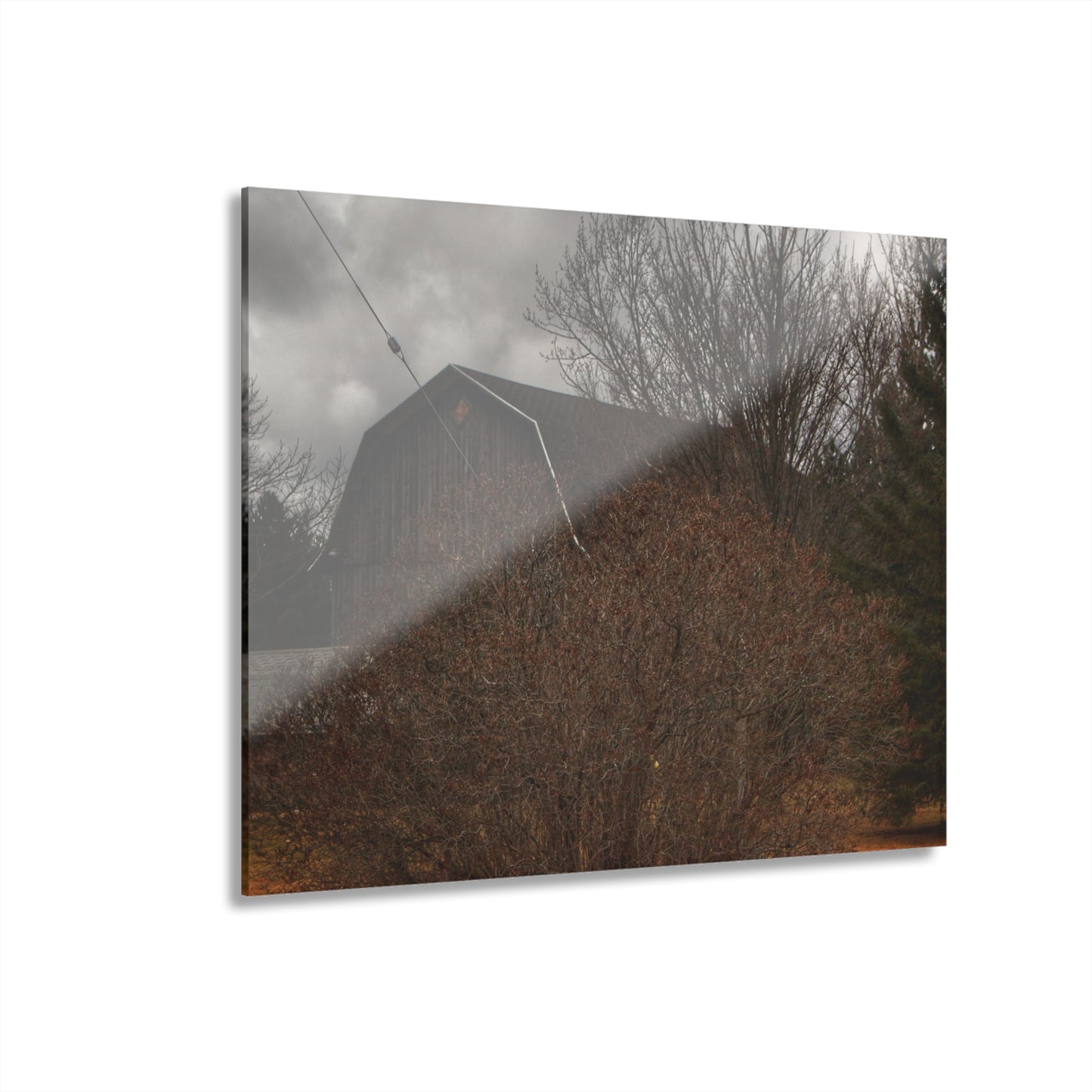 U R There Photography Caro Grey Hidden Rustic Farmhouse Acrylic Wall Print