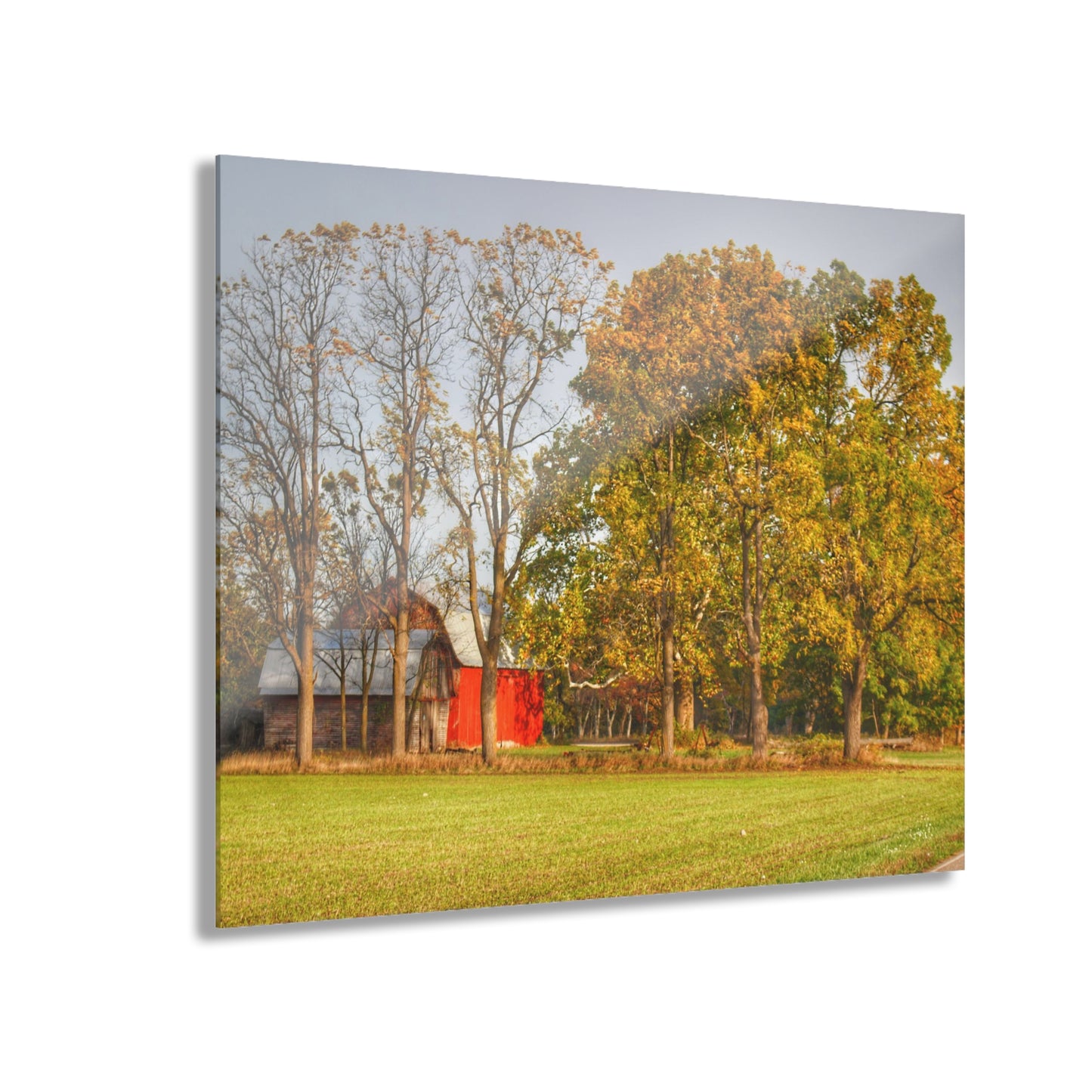 U R There Photography Barkley Road Red II Rustic Farmhouse Acrylic Wall Print