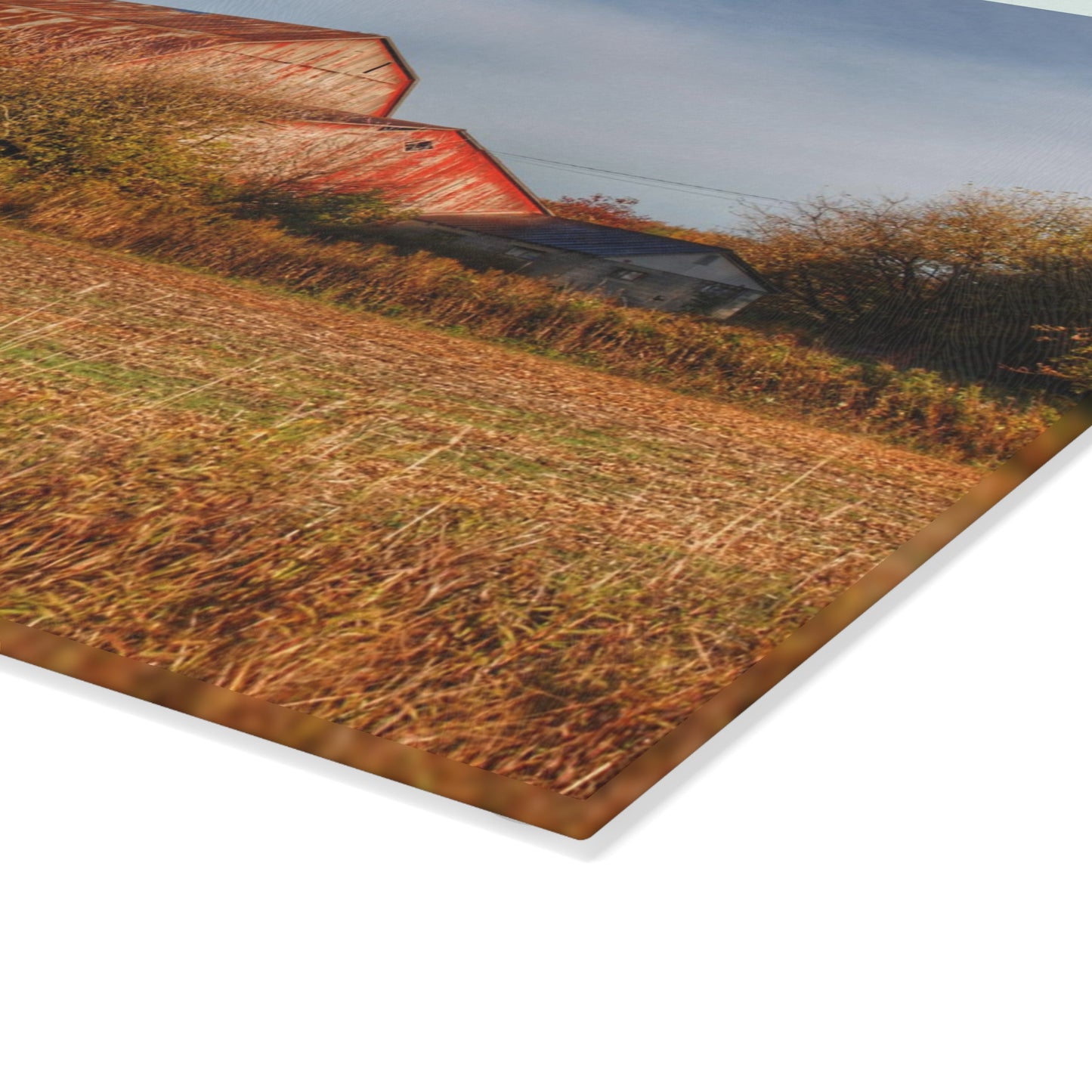 U R There Photography Cade Road Red and Silo Rustic Farmhouse Tempered-Glass Cutting Board