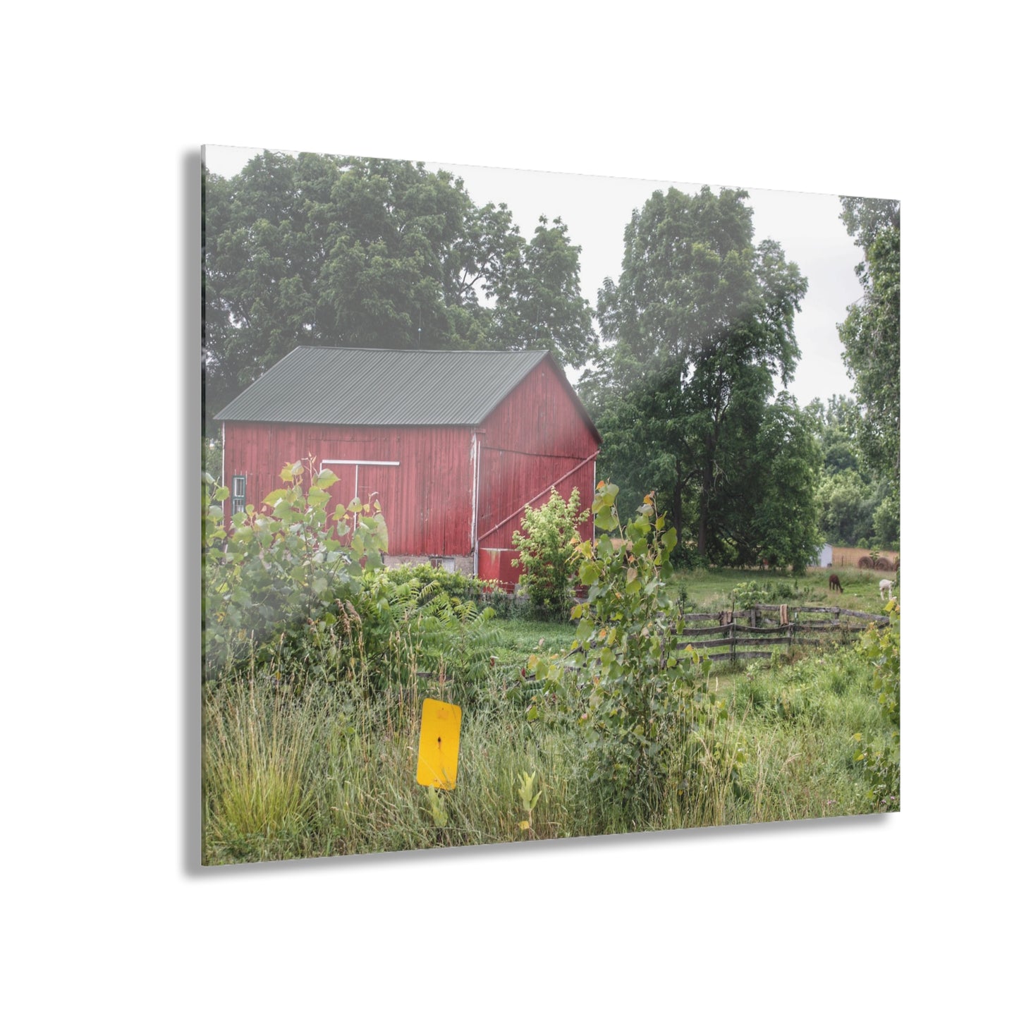 U R There Photography Clifford Road Alpaca Barn Rustic Farmhouse Acrylic Wall Print