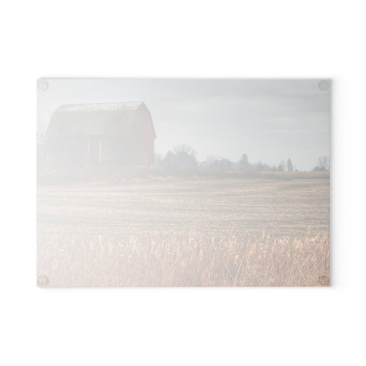 U R There Photography Bowers Road Red IV Rustic Farmhouse Tempered-Glass Cutting Board