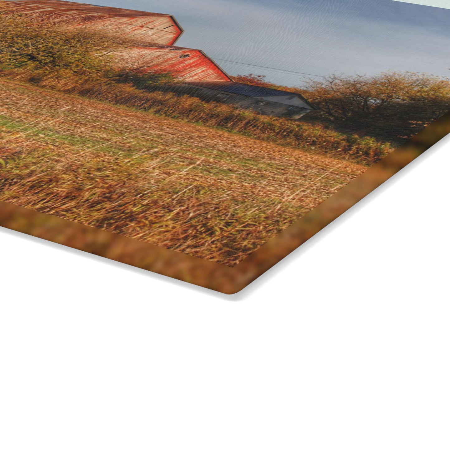 U R There Photography Cade Road Red and Silo Rustic Farmhouse Tempered-Glass Cutting Board